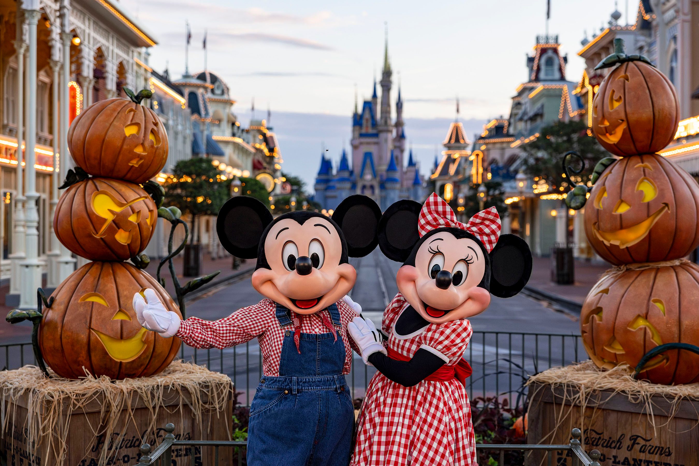  DisneyParks Disney Parks Exclusive - Minnie Mickey