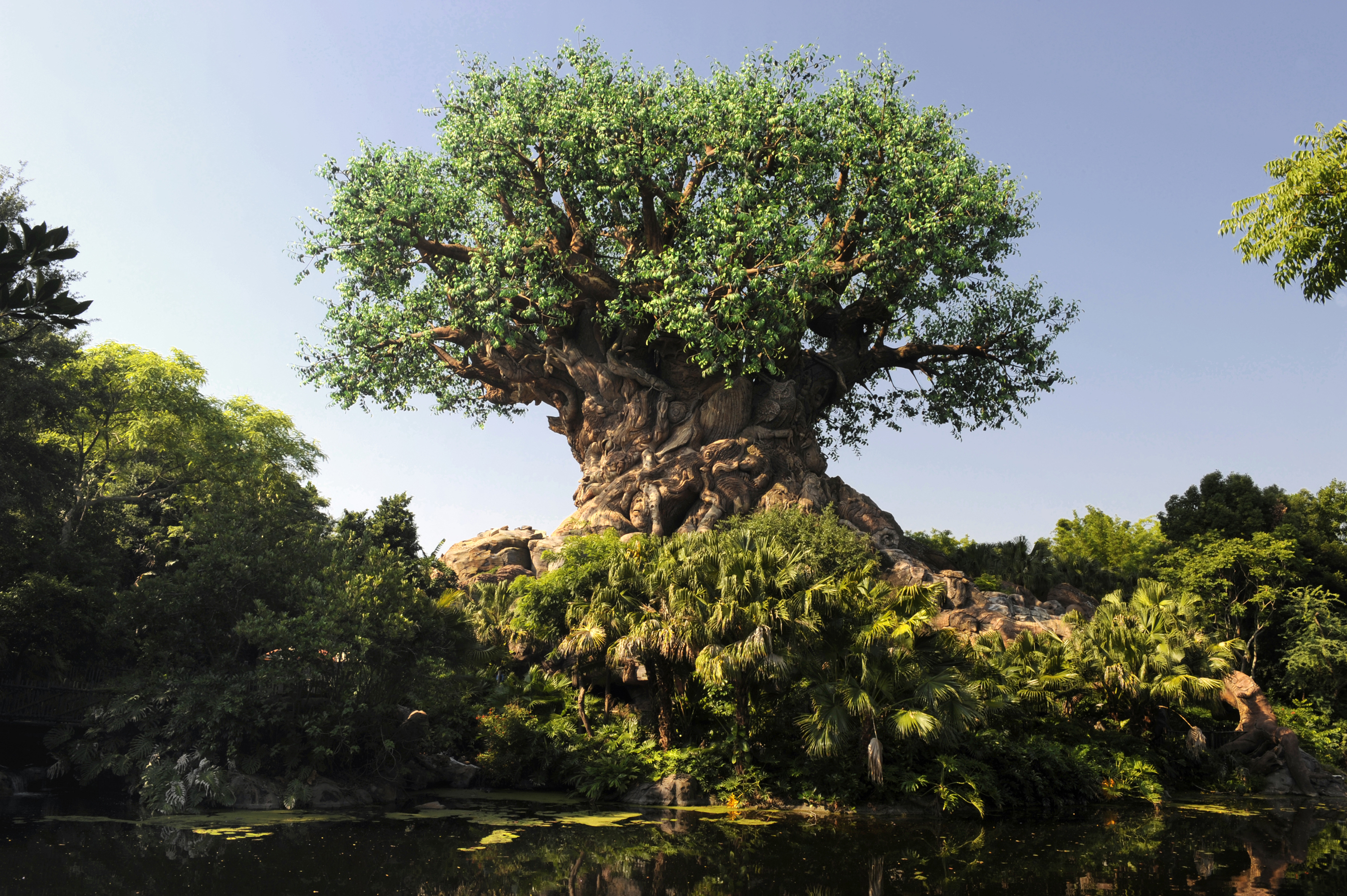 Magic Kingdom, Animal Kingdom e Disney Springs Ganharão Novidades em Breve